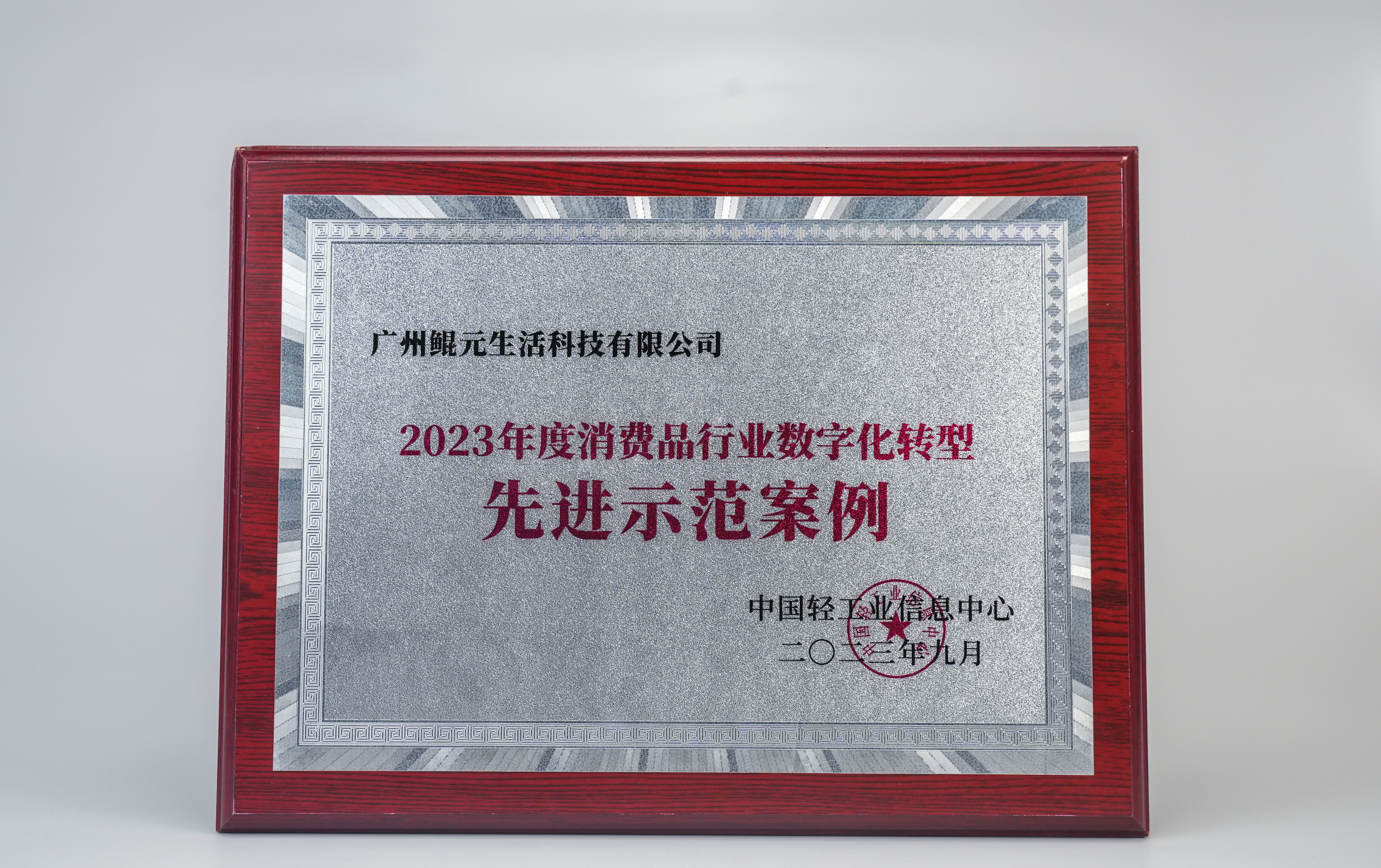 Foaming Kitchen Cleaner Certificate